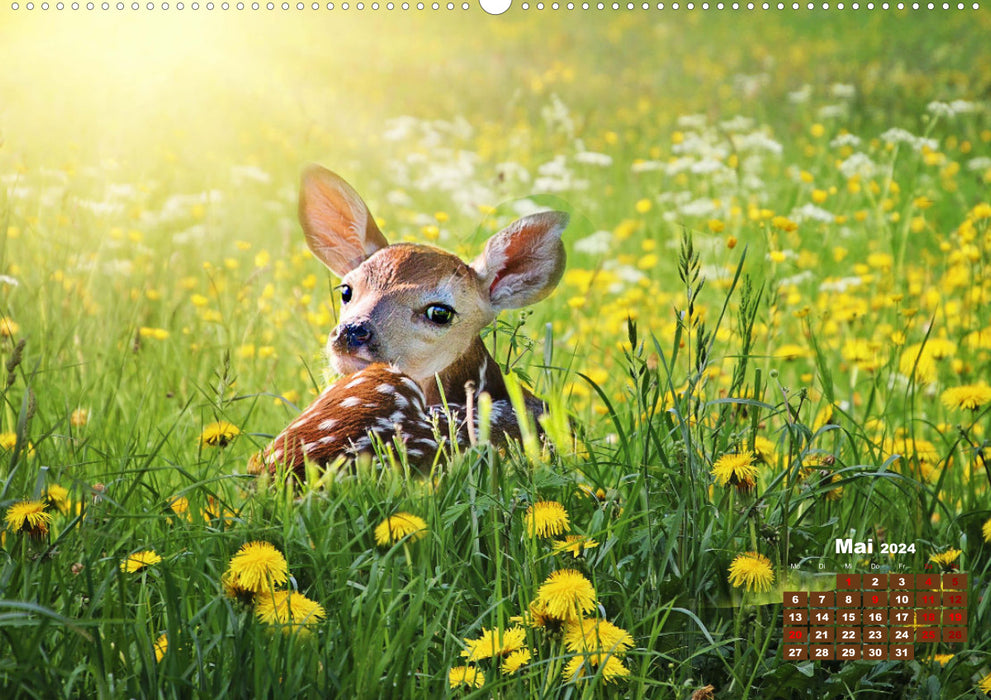 Animals in the wild by VogtArt (CALVENDO wall calendar 2024) 