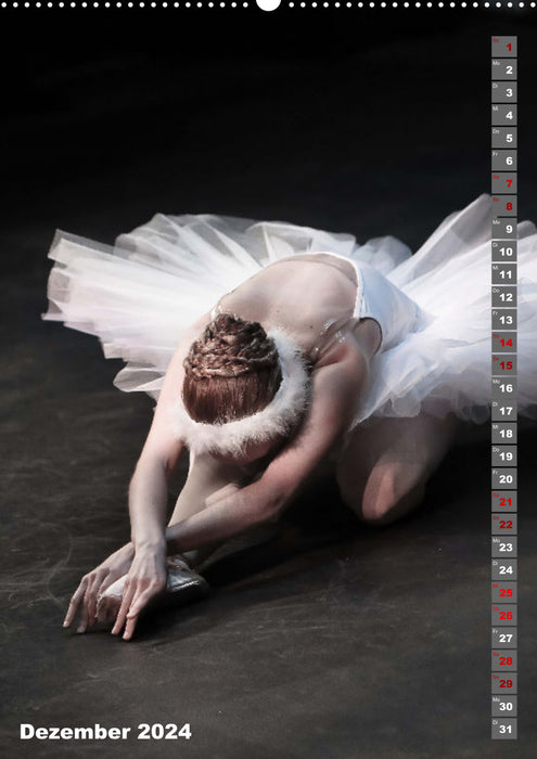Ballet d'impression sensorielle (Calendrier mural CALVENDO 2024) 