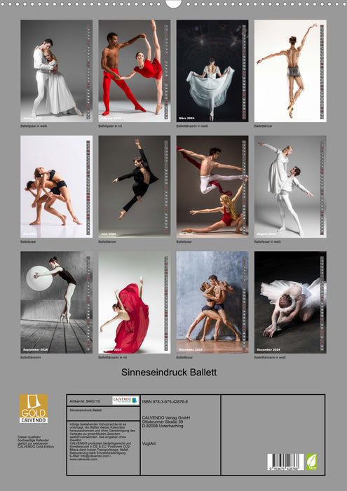 Ballet d'impression sensorielle (Calendrier mural CALVENDO 2024) 
