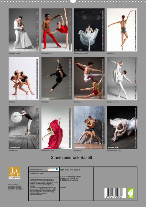 Ballet d’impressions sensorielles (Calendrier mural CALVENDO Premium 2024) 