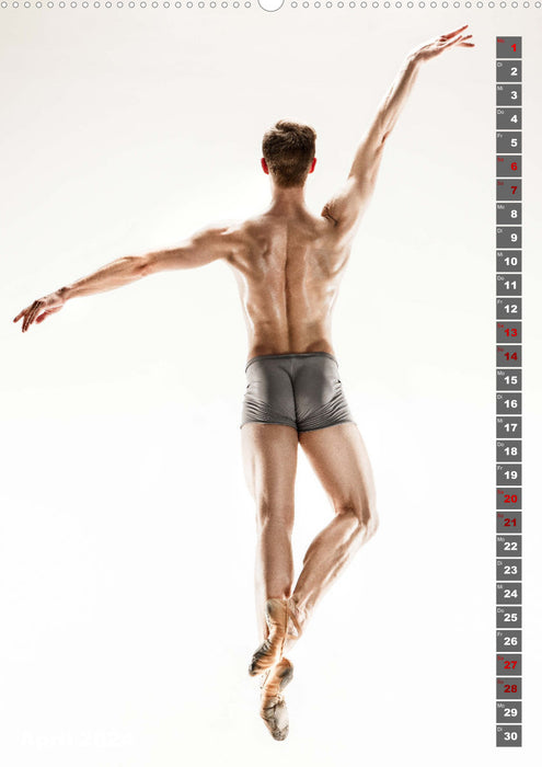 Sensory impression ballet (CALVENDO Premium Wall Calendar 2024) 