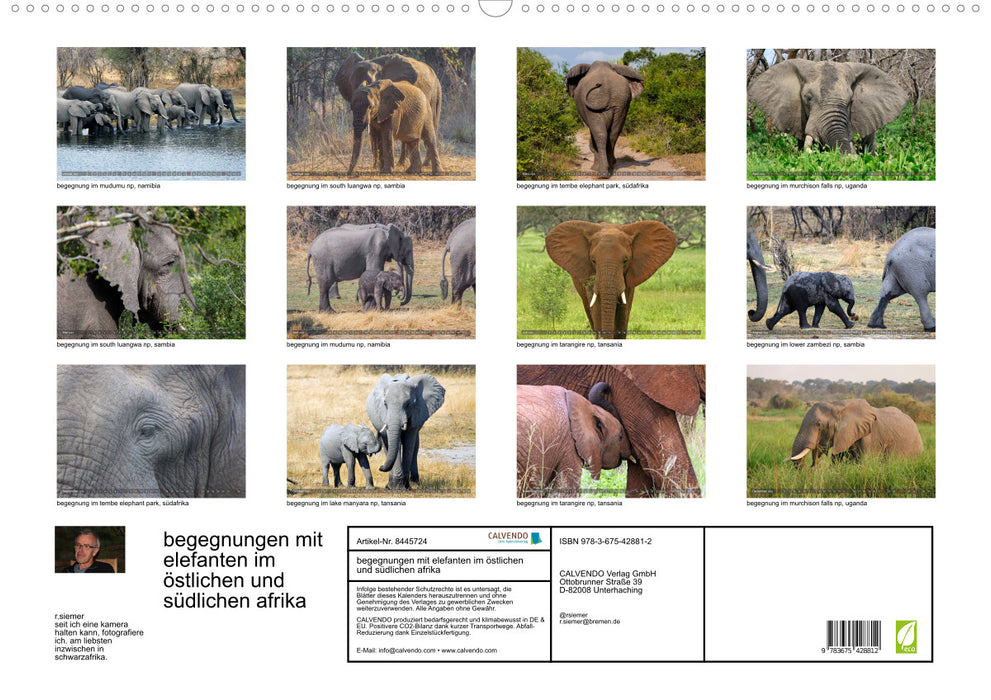 Encounters - elephants in southern Africa (CALVENDO wall calendar 2024) 