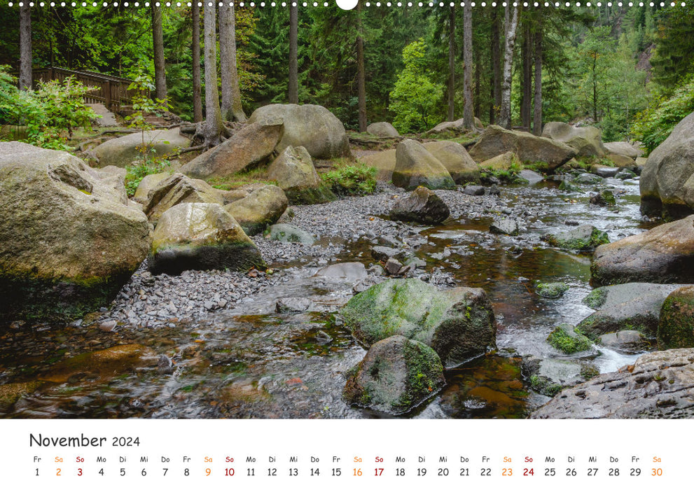 Magischer Harzwald (CALVENDO Premium Wandkalender 2024)