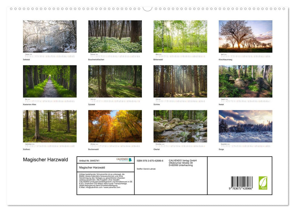 Magical Harz Forest (CALVENDO Premium Wall Calendar 2024) 