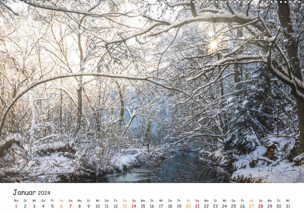 Magical Harz Forest (CALVENDO Premium Wall Calendar 2024) 