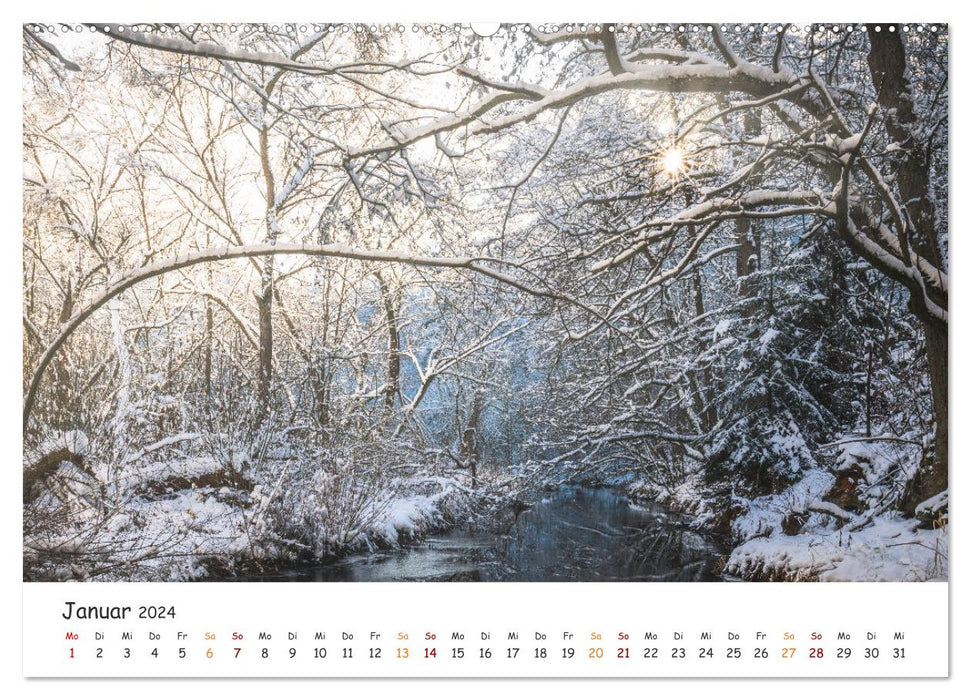 Magischer Harzwald (CALVENDO Premium Wandkalender 2024)