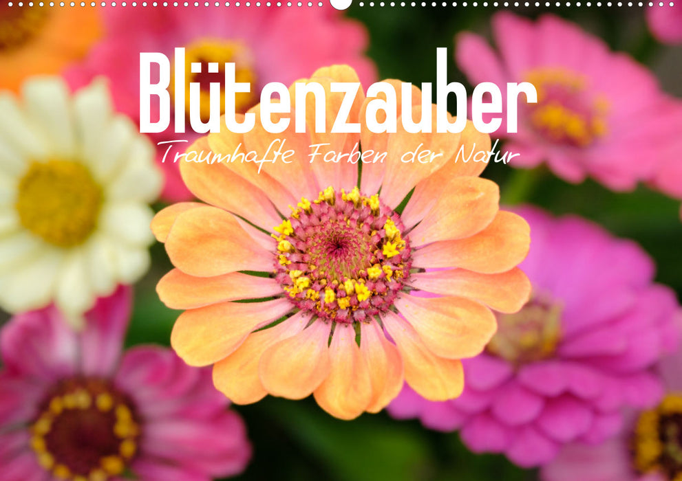 Blütenzauber - Traumhafte Farben der Natur (CALVENDO Wandkalender 2024)