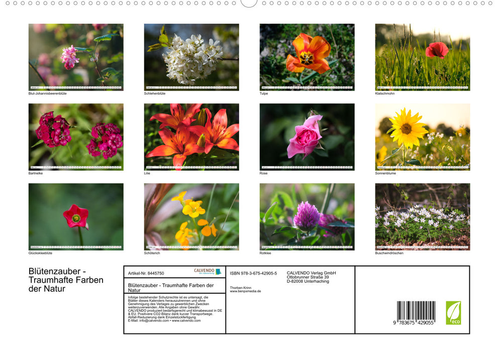 Blütenzauber - Traumhafte Farben der Natur (CALVENDO Premium Wandkalender 2024)