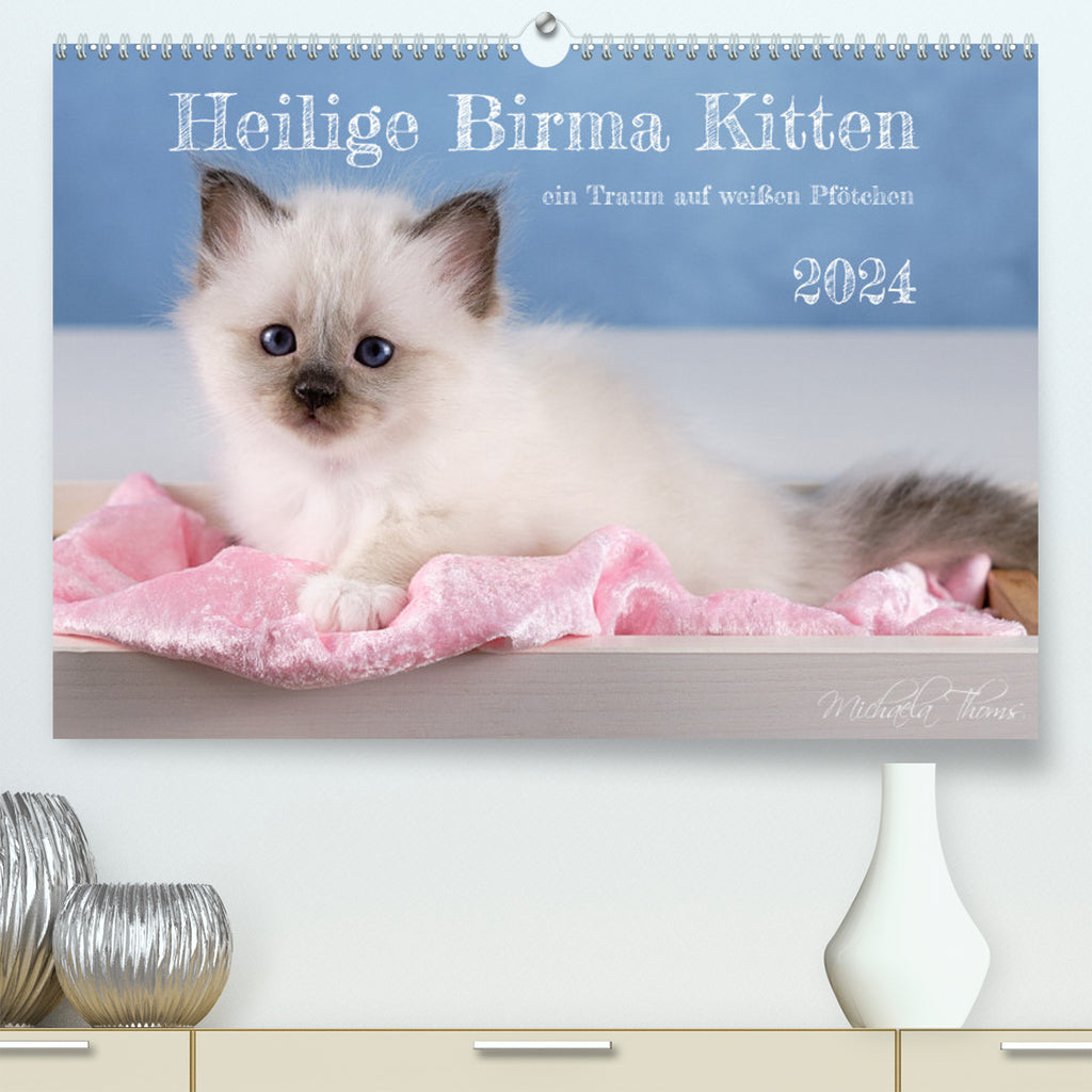 Heilige Birma Kitten - ein Traum auf weißen Pfötchen (CALVENDO Premium —  calvendoverlag