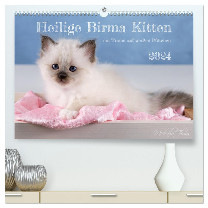 Holy Birman Kitten - a dream on white paws (CALVENDO Premium Wall Calendar 2024) 