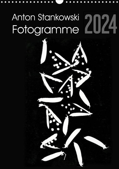 Anton Stankowski photograms (CALVENDO wall calendar 2024) 