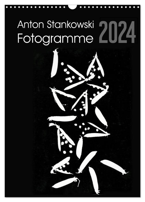 Anton Stankowski Fotogramme (CALVENDO Wandkalender 2024)