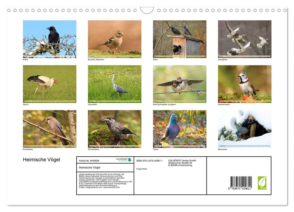Heimische Vögel - Im Wald, im Garten und auf der Wiese (CALVENDO Wandkalender 2024)