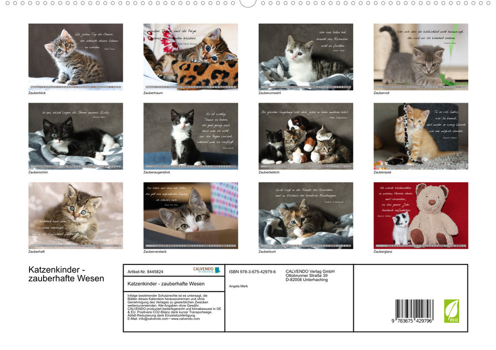 Cat children - magical creatures (CALVENDO Premium Wall Calendar 2024) 