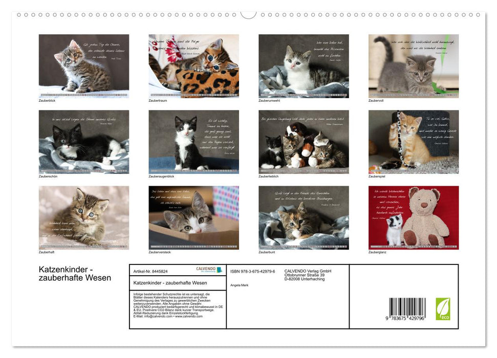 Enfants chats - créatures magiques (Calendrier mural CALVENDO Premium 2024) 