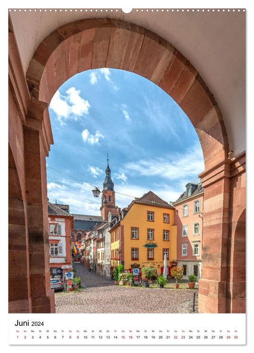 Heidelberg 2024 - Sehnsucht nach Heidelberg - 12 Monate voller Erinnerungen (CALVENDO Premium Wandkalender 2024)