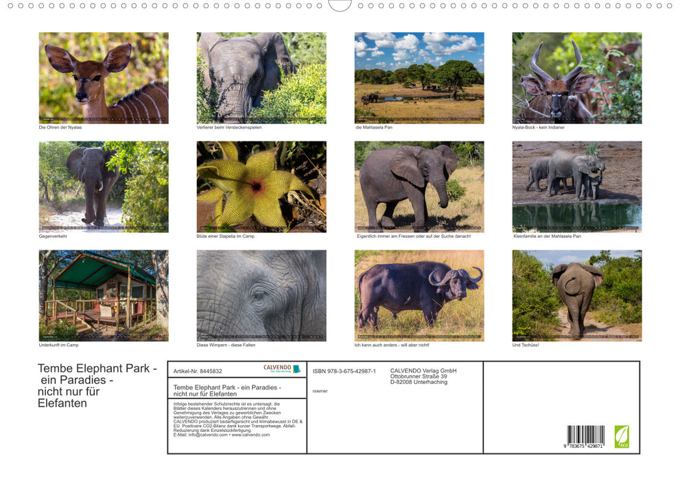 Parc des éléphants de Tembe. Un paradis - pas seulement pour les éléphants (calendrier mural CALVENDO 2024) 