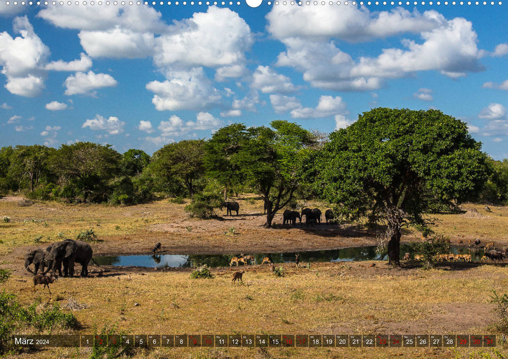 Tembe Elephant Park. A paradise - not just for elephants (CALVENDO wall calendar 2024) 