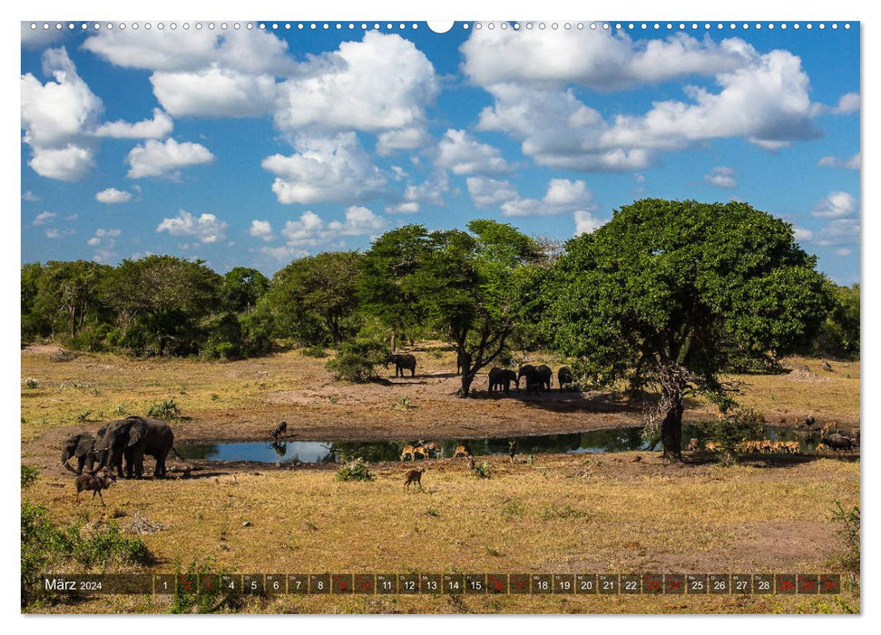 Tembe Elephant Park. Ein Paradies - nicht nur für Elefanten (CALVENDO Wandkalender 2024)