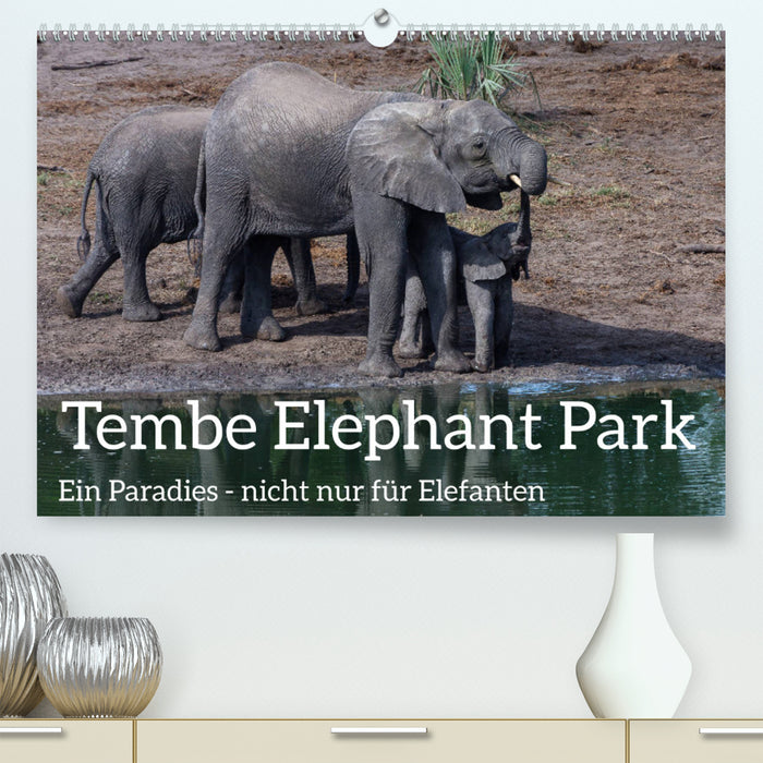 Parc des éléphants de Tembe. Un paradis - pas seulement pour les éléphants (Calendrier mural CALVENDO Premium 2024) 