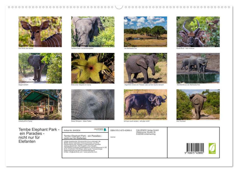 Tembe Elephant Park. Ein Paradies - nicht nur für Elefanten (CALVENDO Premium Wandkalender 2024)