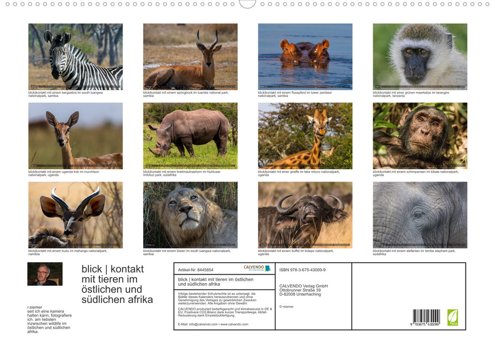 view contact with animals in eastern and southern Africa (CALVENDO wall calendar 2024) 