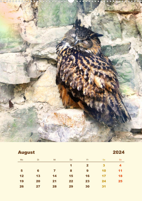 Eagle owl, the fascination of amber-colored eyes (CALVENDO wall calendar 2024) 