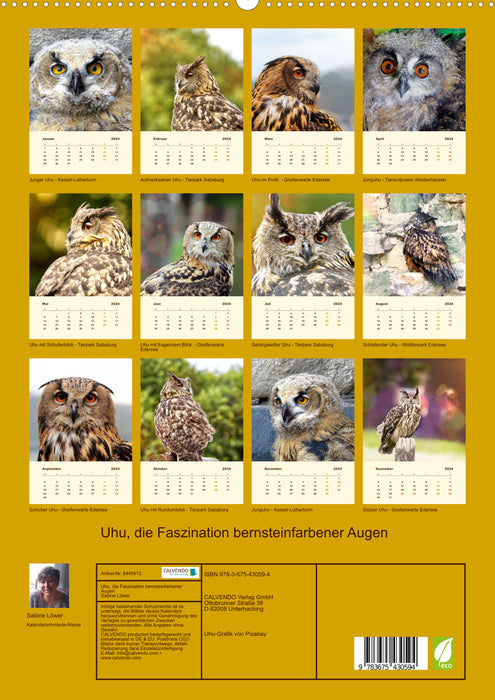 Hibou grand-duc, la fascination des yeux ambrés (Calendrier mural CALVENDO Premium 2024) 