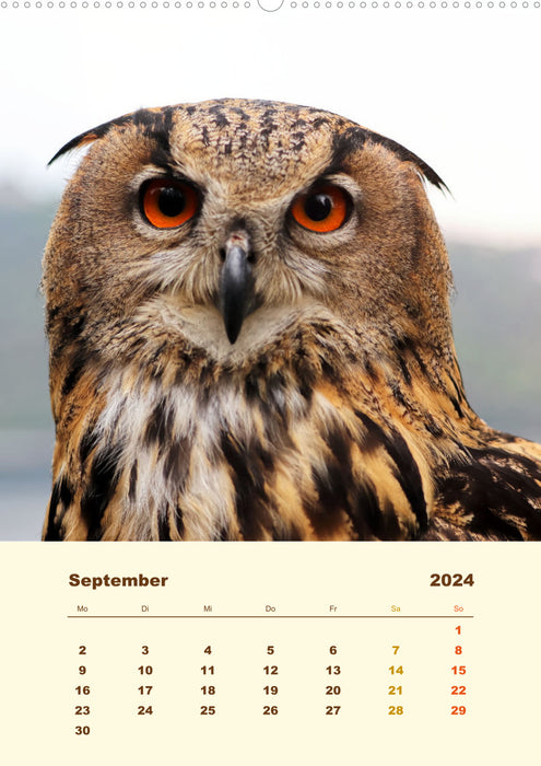 Uhu, die Faszination bernsteinfarbener Augen (CALVENDO Premium Wandkalender 2024)