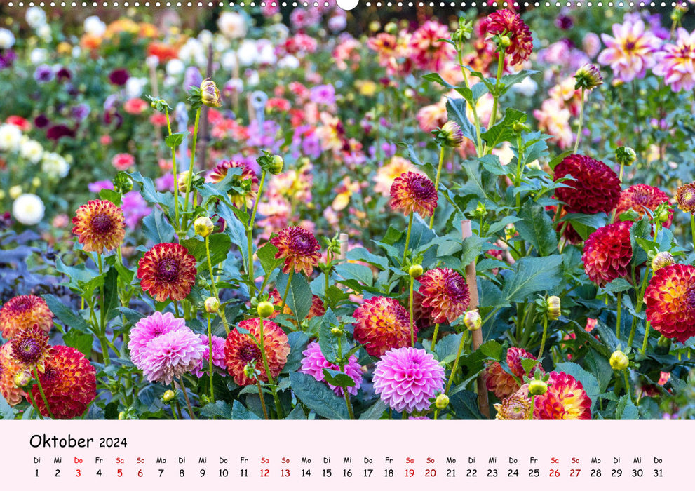 Blossoms - in abundance (CALVENDO wall calendar 2024) 