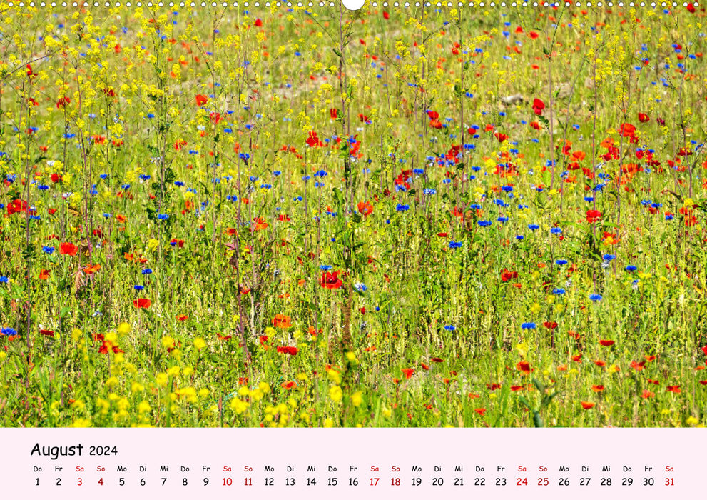 Blossoms - in abundance (CALVENDO wall calendar 2024) 
