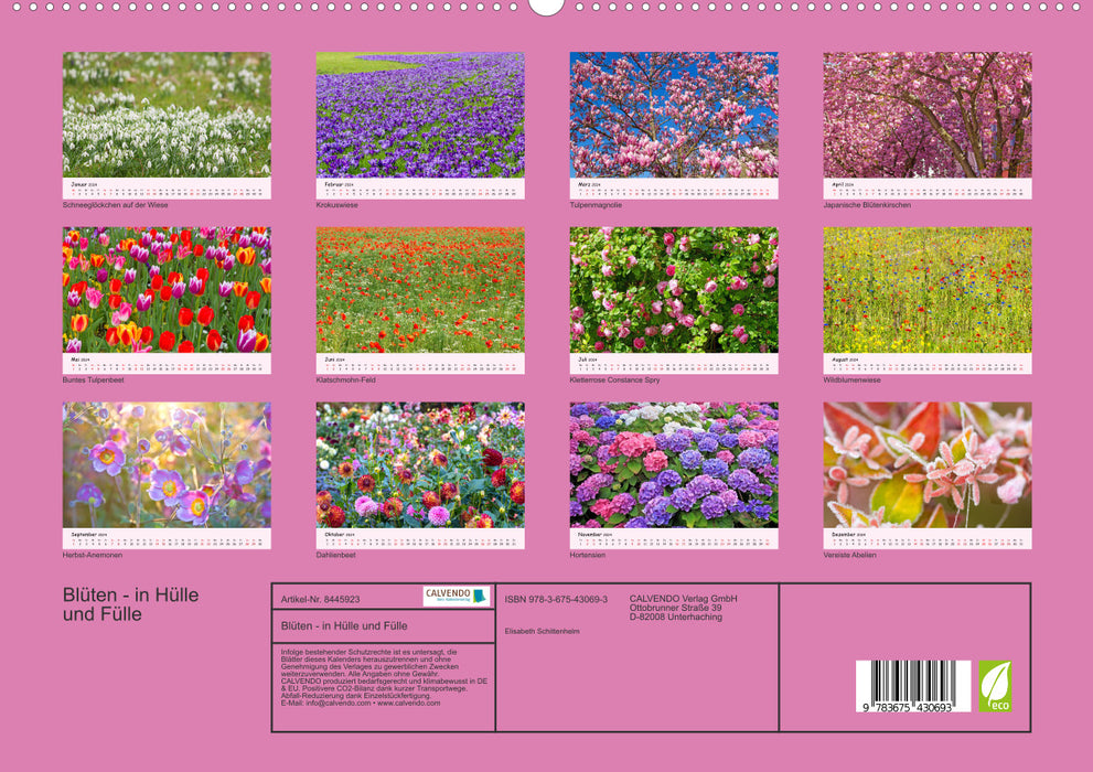 Blossoms - in abundance (CALVENDO Premium Wall Calendar 2024) 