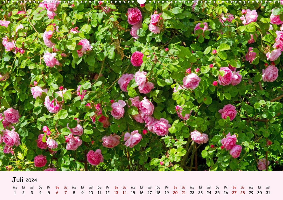 Blüten - in Hülle und Fülle (CALVENDO Premium Wandkalender 2024)