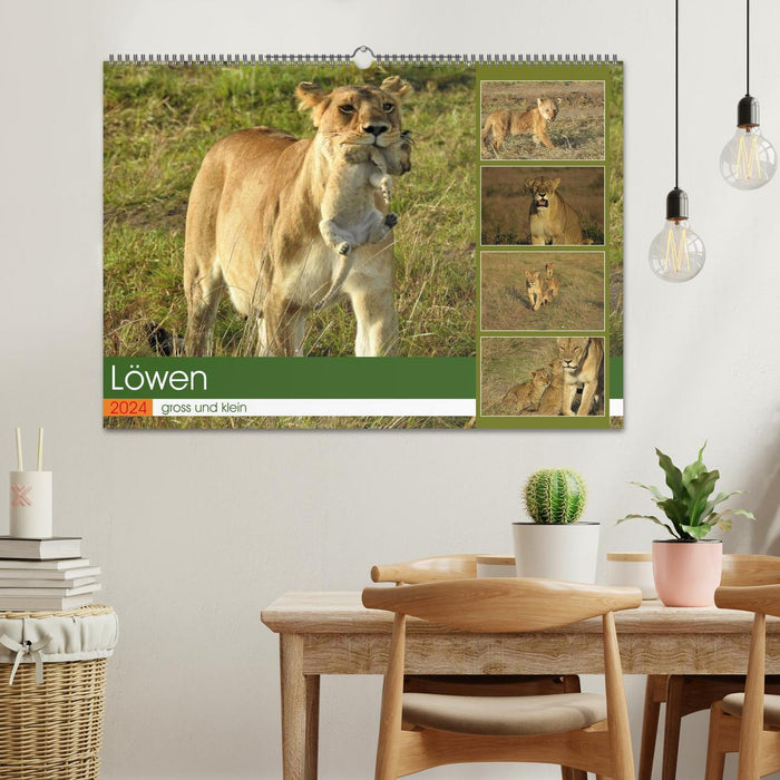 Lions - grands et petits (Calendrier mural CALVENDO 2024) 