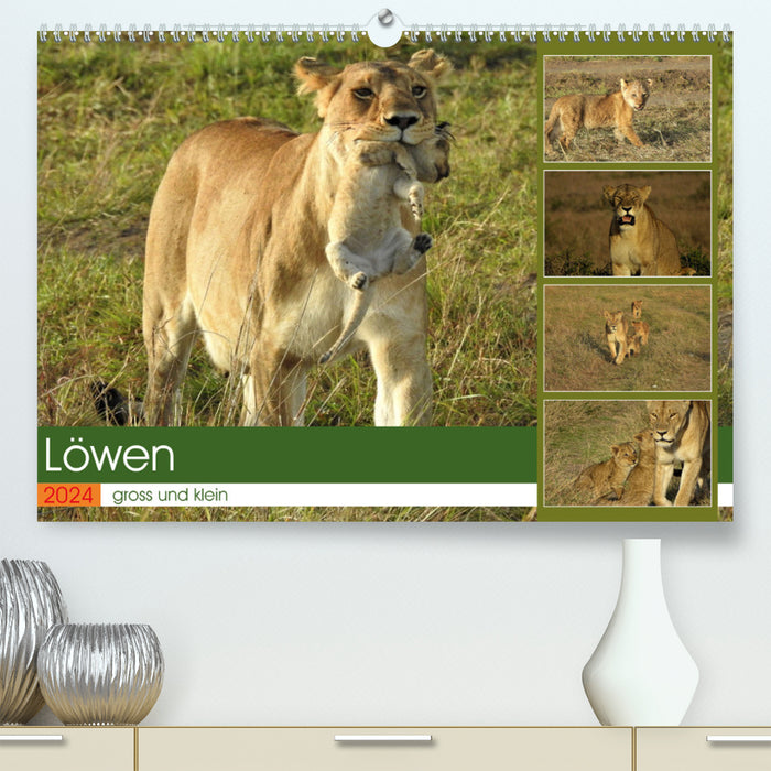 Lions - big and small (CALVENDO Premium Wall Calendar 2024) 