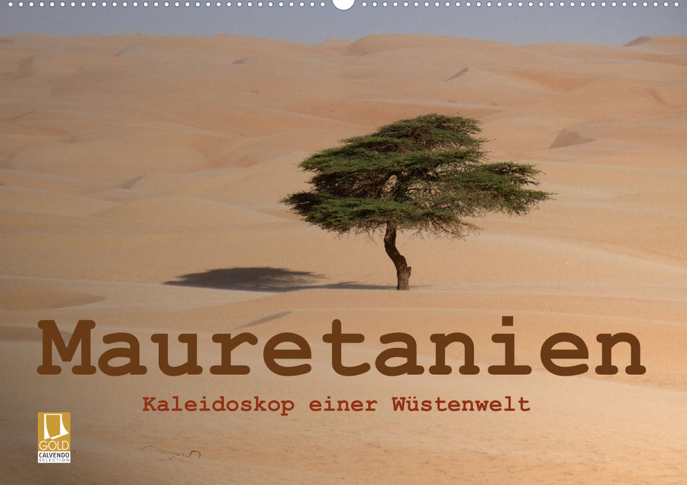 Mauritania - Kaleidoscope of a desert world (CALVENDO wall calendar 2024) 