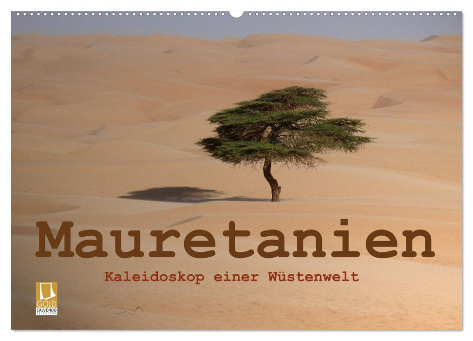 Mauritanie - Kaléidoscope d'un monde désertique (Calendrier mural CALVENDO 2024) 
