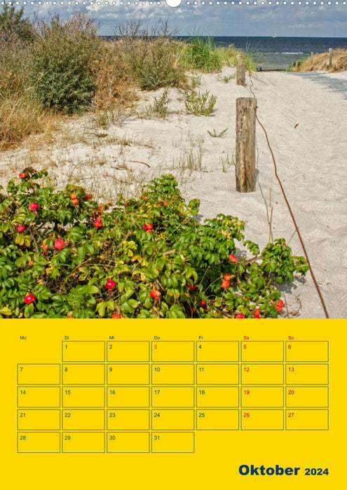 Place of longing: Baltic Sea island of Poel (CALVENDO wall calendar 2024) 