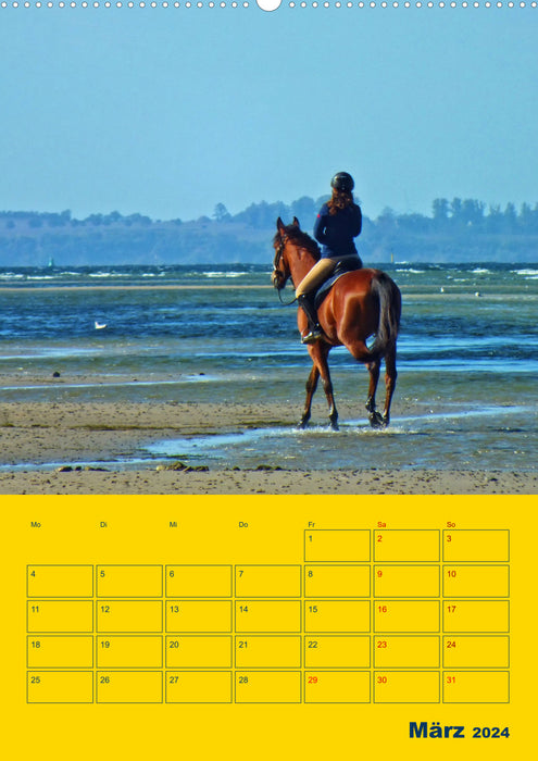 Place of longing: Baltic Sea island of Poel (CALVENDO wall calendar 2024) 