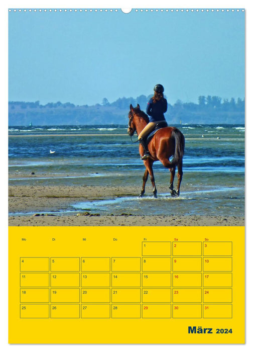 Sehnsuchtsort Ostseeinsel Poel (CALVENDO Wandkalender 2024)