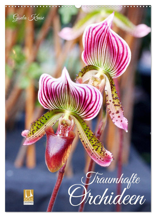 Traumhafte Orchideen (CALVENDO Wandkalender 2024)
