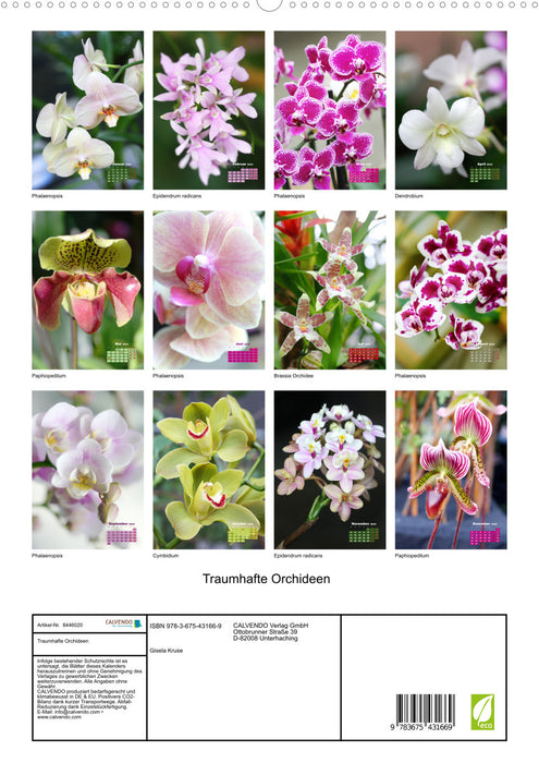 Traumhafte Orchideen (CALVENDO Premium Wandkalender 2024)