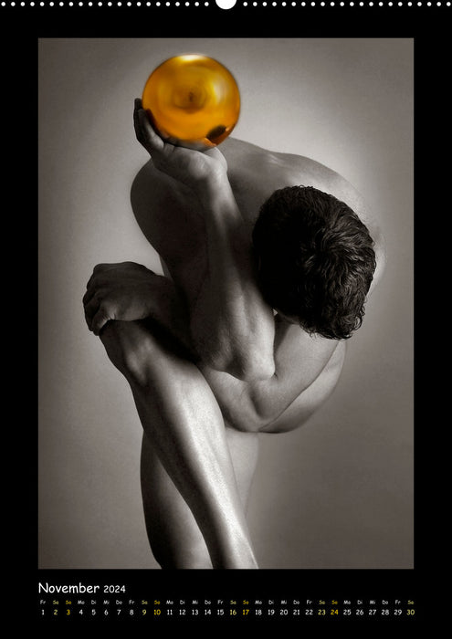 Golden Ball male nudes exquisite (CALVENDO Premium Wall Calendar 2024) 