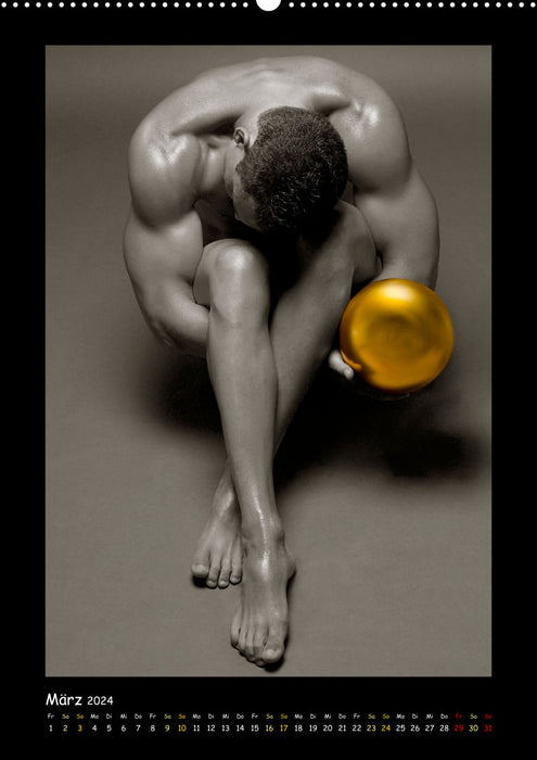 Golden Ball Männerakte exquisit (CALVENDO Premium Wandkalender 2024)