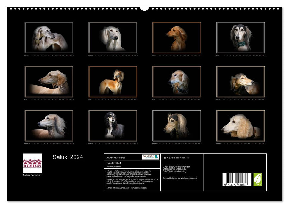 Saluki 2024 (CALVENDO Premium Wandkalender 2024)