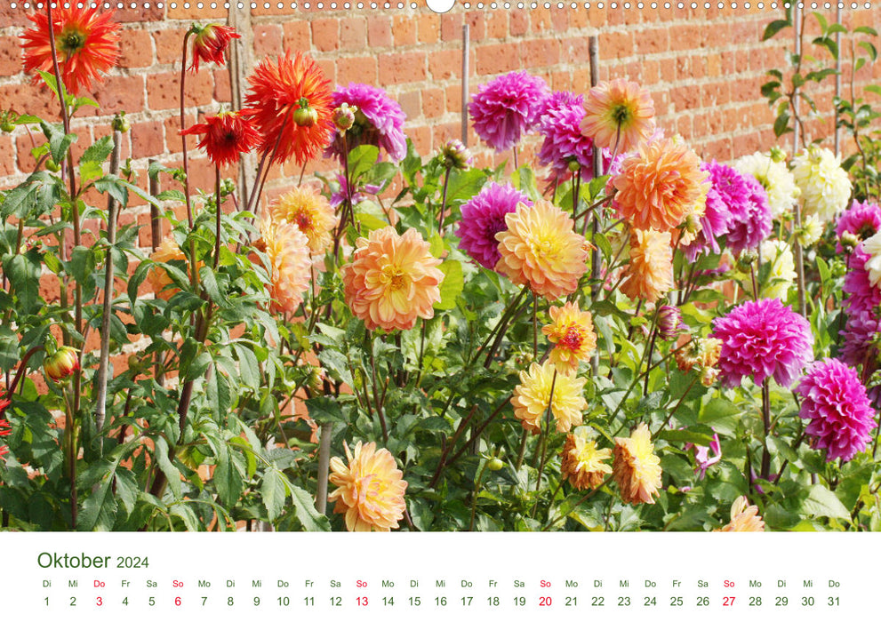 Gartenlust im Frühling und Sommer (CALVENDO Wandkalender 2024)