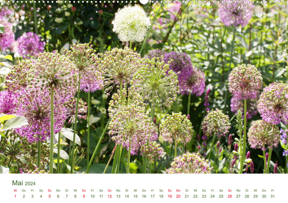 Gartenlust im Frühling und Sommer (CALVENDO Wandkalender 2024)