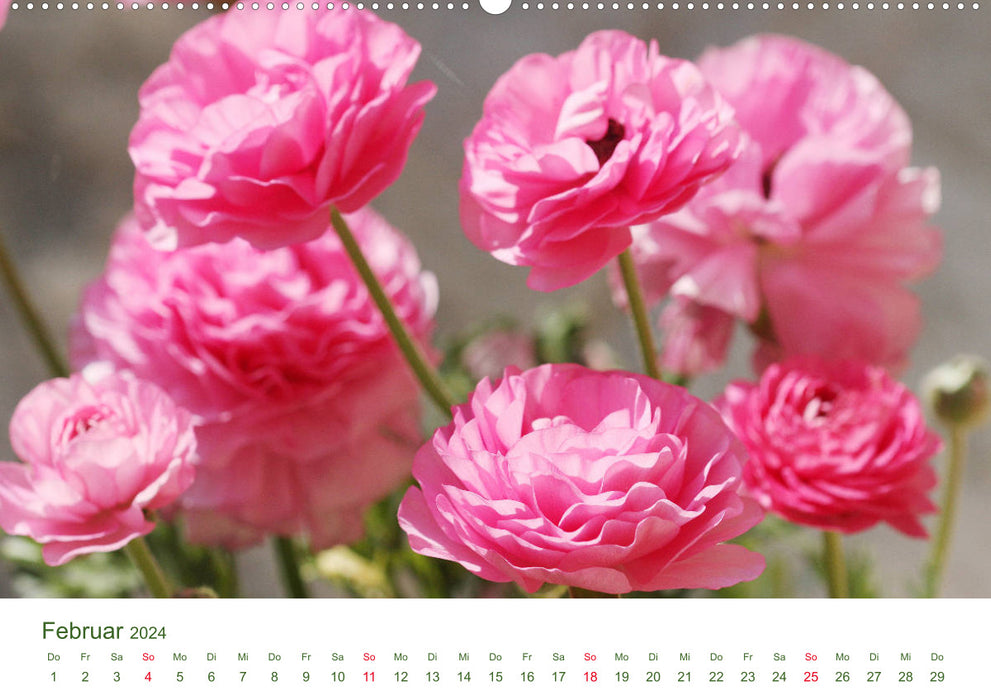 Gartenlust im Frühling und Sommer (CALVENDO Premium Wandkalender 2024)