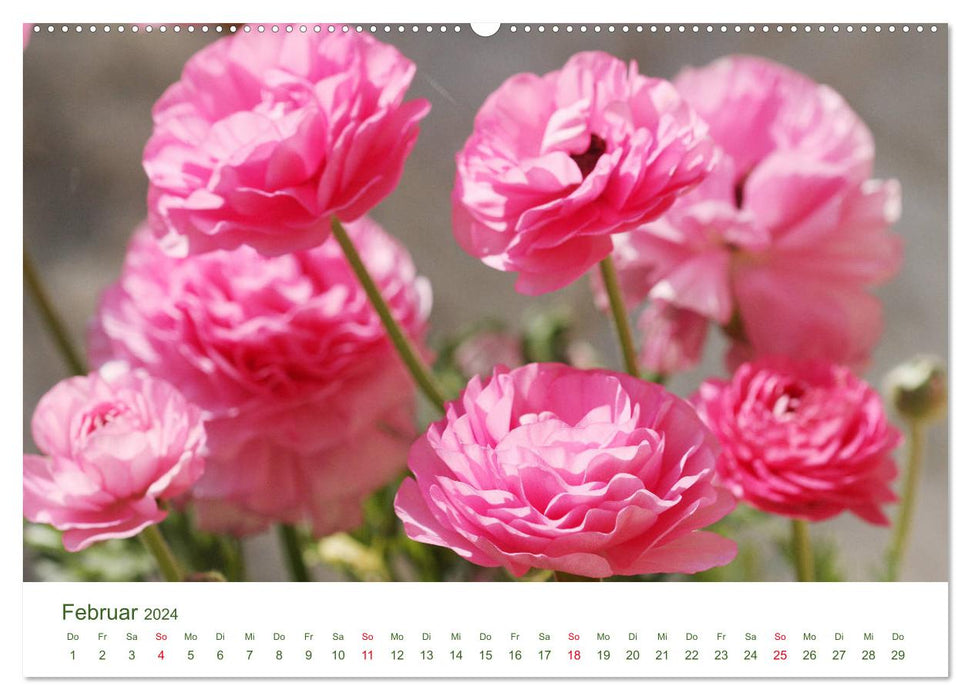 Gardening in spring and summer (CALVENDO Premium Wall Calendar 2024) 