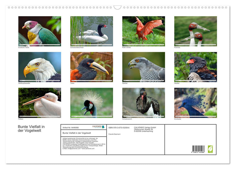 Bunte Vielfalt in der Vogelwelt (CALVENDO Wandkalender 2024)